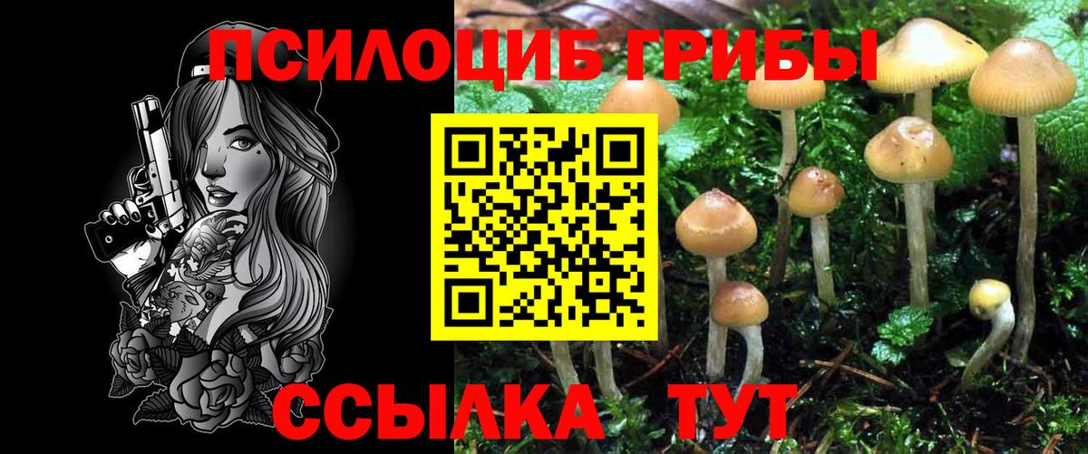 Чебаркуль  Псилоцибиновые грибы GOLDEN TEACHER  Вход с VPN  Галлюциногенные грибы GOLDEN TEACHER 